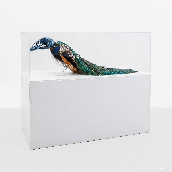 VANMECHELEN Koen - Artificial Crossbreeding